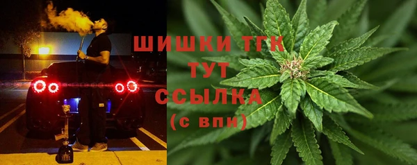 гашик Алзамай
