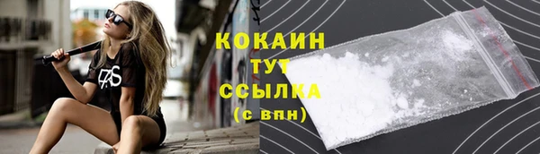 гашик Алзамай