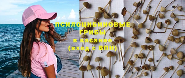 гашик Алзамай