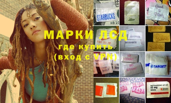 гашик Алзамай