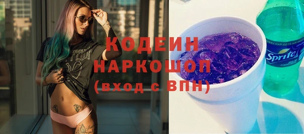 гашик Алзамай