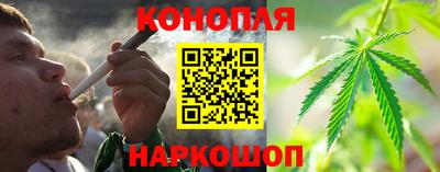 spice Бийск