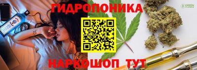 spice Бийск