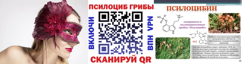 наркотики  Ейск  Галлюциногенные грибы мухоморы 