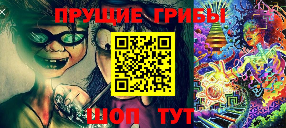 Галлюциногенные грибы Psilocybine cubensis  Вход с VPN  Ейск 