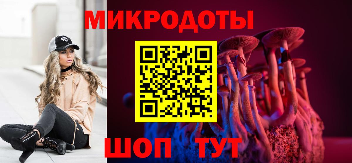 Псилоцибиновые грибы Psilocybe Ейск